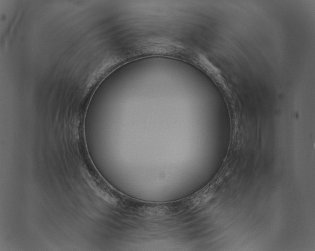 X0000089670106200707121234