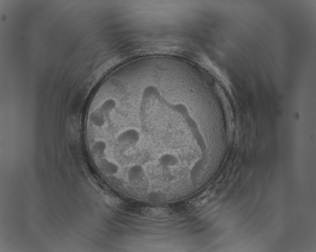 X0000089670107200707121234