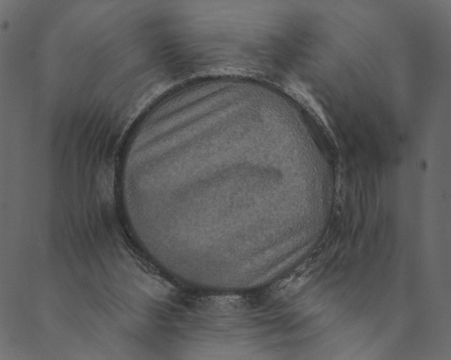 X0000089670108200707121234