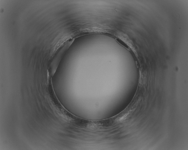 X0000089670109200707121234