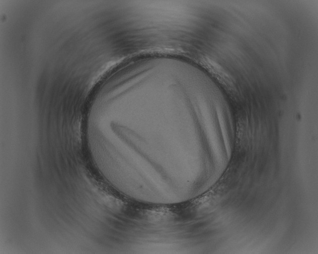 X0000089670112200707121234