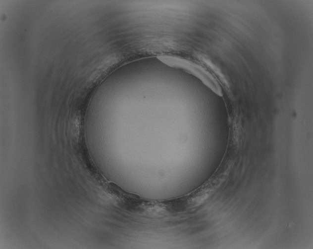 X0000089670113200707121234