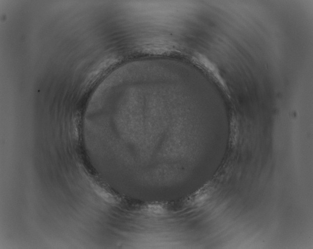 X0000089670114200707121234