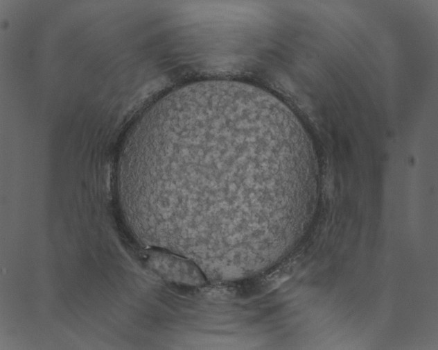 X0000089670115200707121234