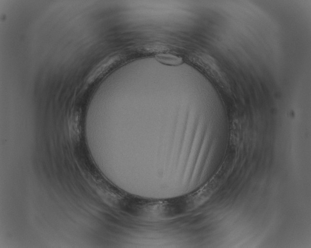 X0000089670116200707121234