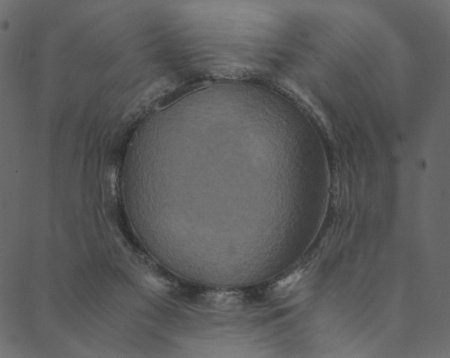 X0000089670117200707121234