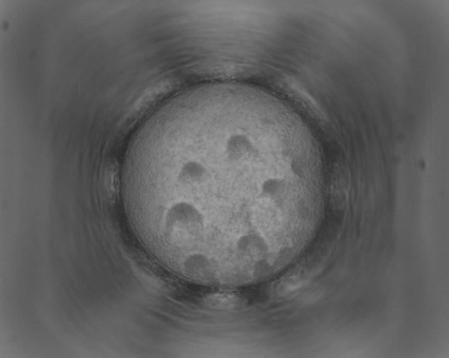 X0000089670119200707121233