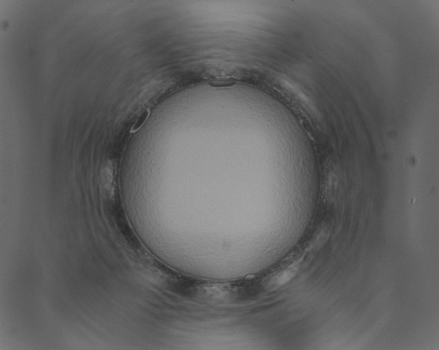 X0000089670121200707121233