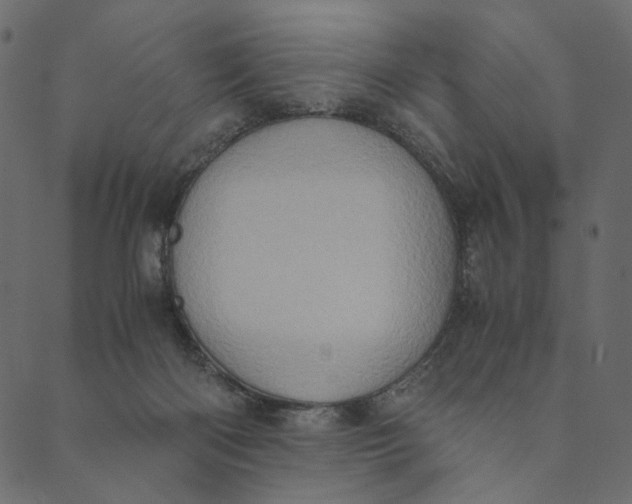 X0000089670122200707121233