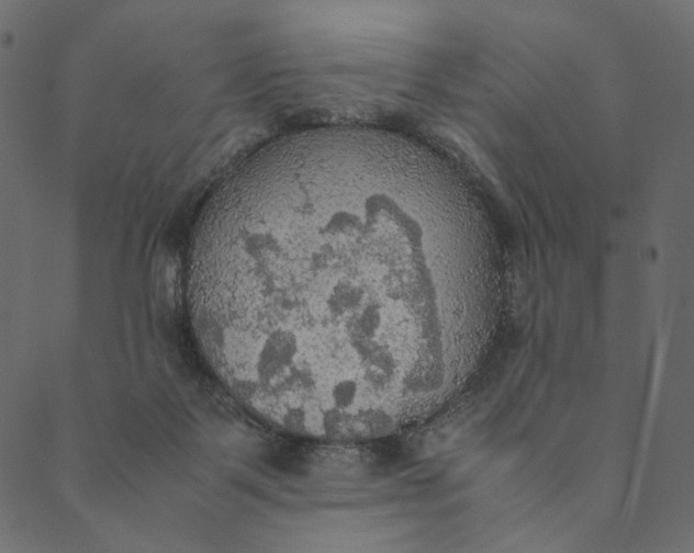 X0000089670123200707121233