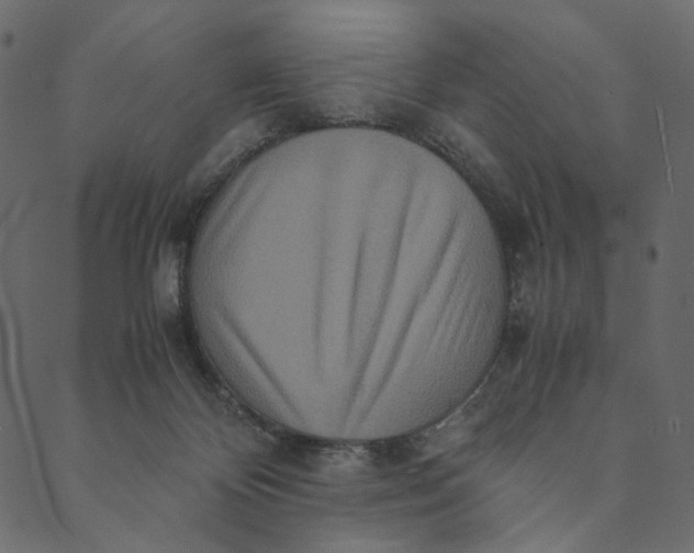 X0000089670124200707121233