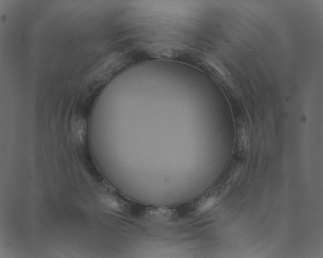 X0000089670125200707121233