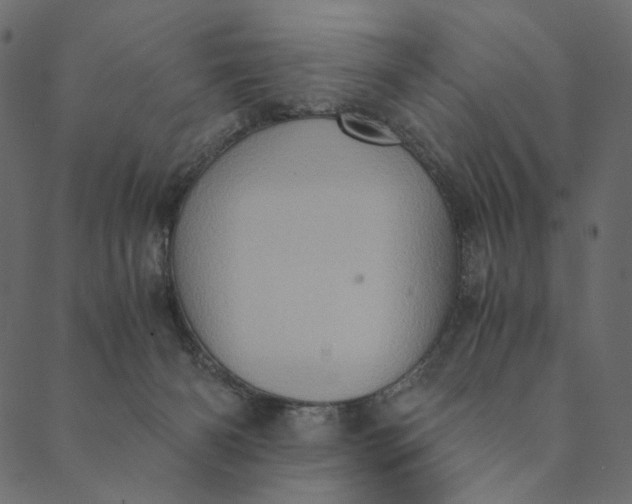 X0000089670126200707121233