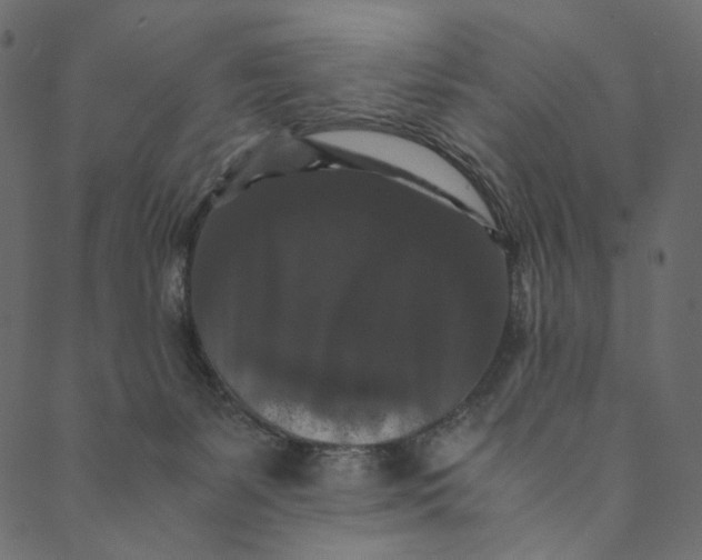 X0000089670127200707121233