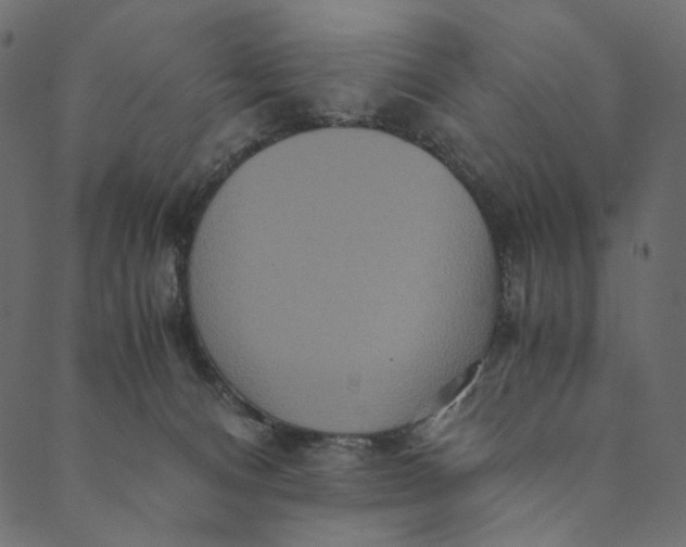 X0000089670128200707121233