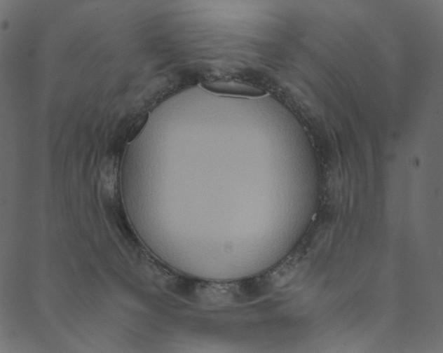 X0000089670129200707121233