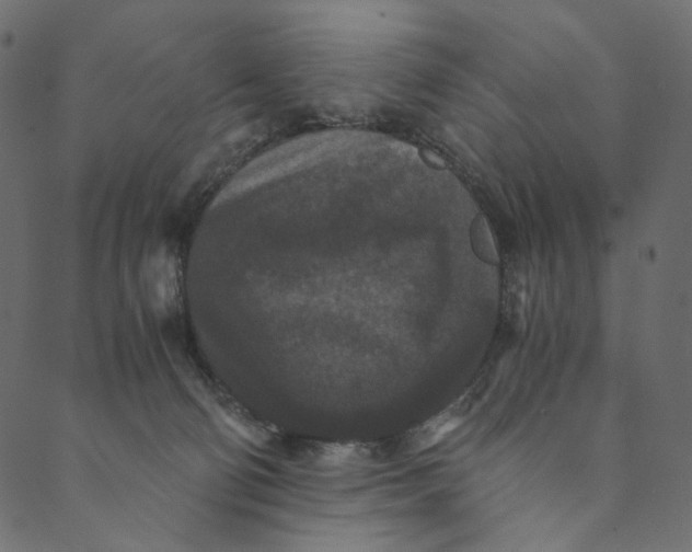 X0000089670130200707121233