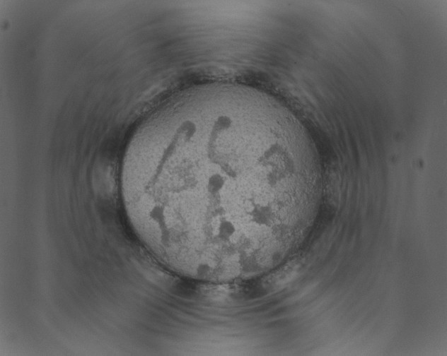 X0000089670131200707121233