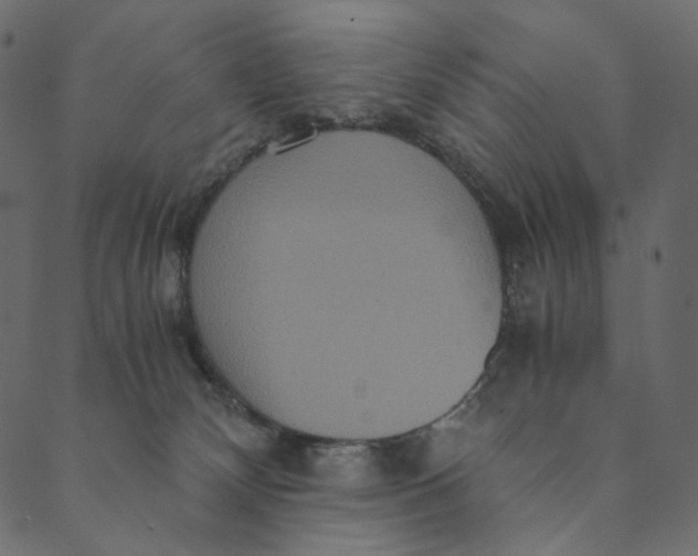 X0000089670132200707121233