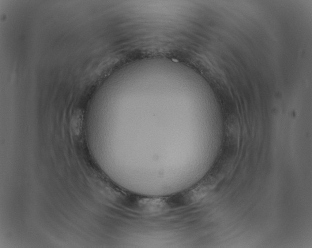 X0000089670133200707121233