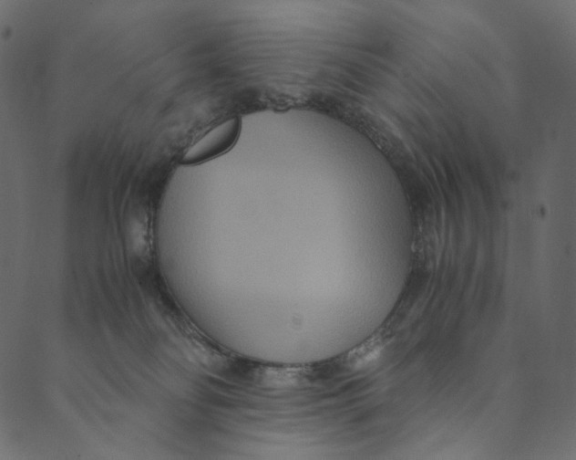 X0000089670134200707121233