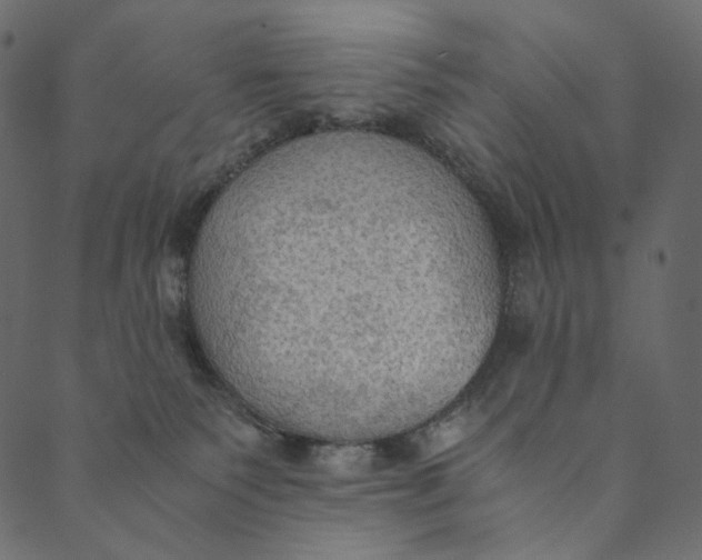 X0000089670135200707121233