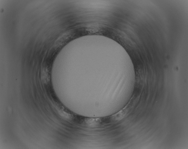 X0000089670136200707121233