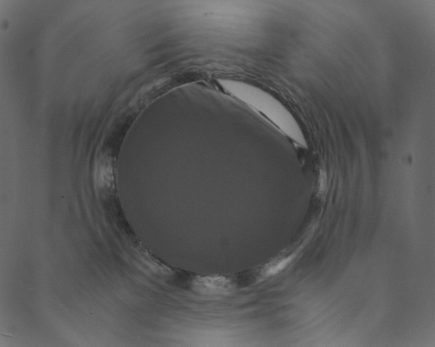 X0000089670137200707121233