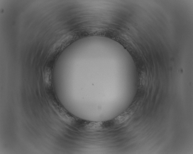 X0000089670138200707121233