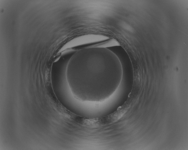 X0000089670139200707121233