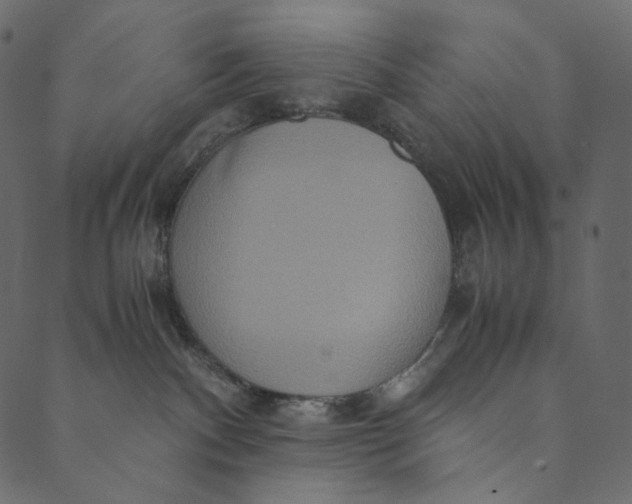 X0000089670140200707121233