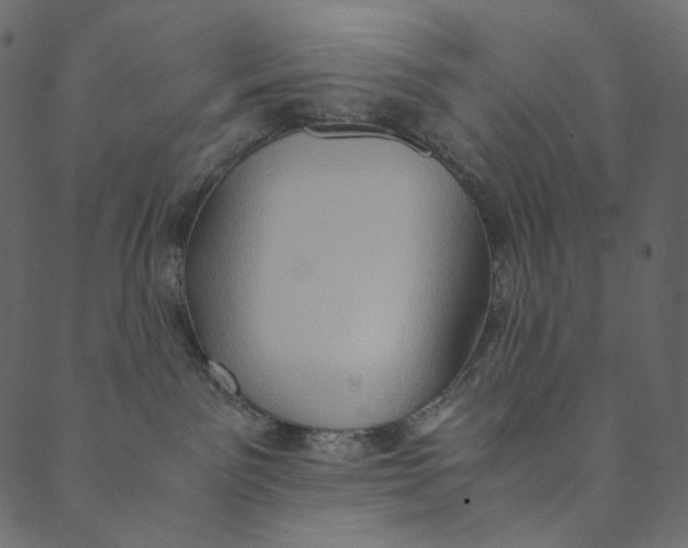 X0000089670141200707121233