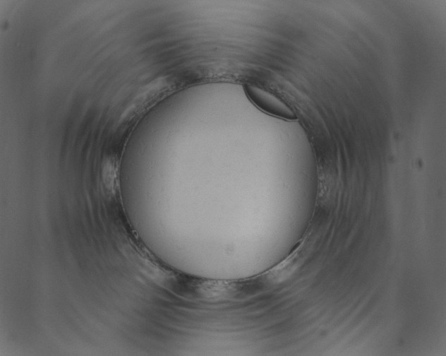 X0000089670142200707121233