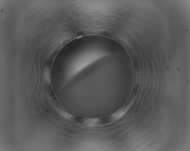 X0000089670143200707121233