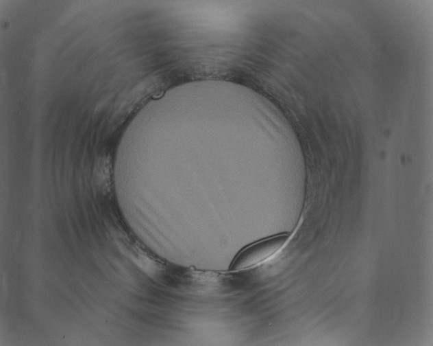 X0000089670144200707121233