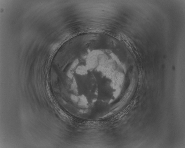 X0000089670145200707121232