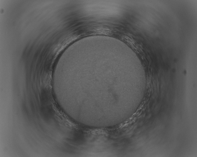 X0000089670146200707121232