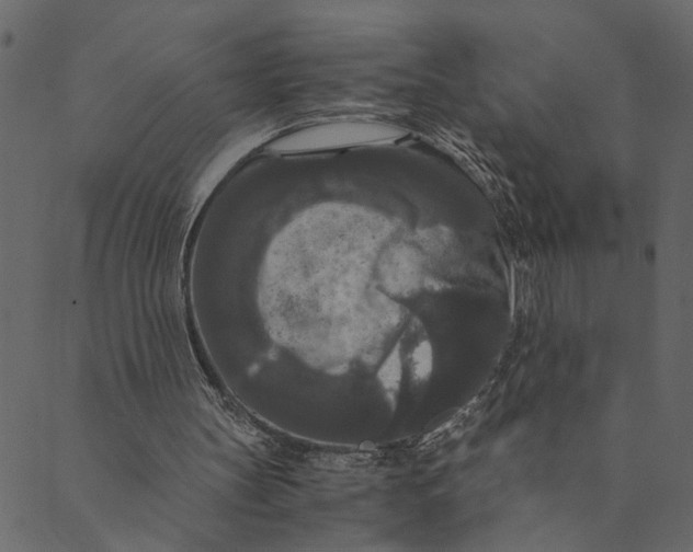 X0000089670147200707121232