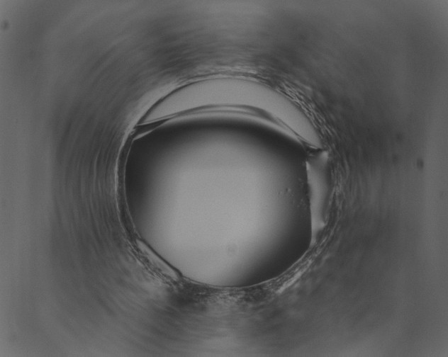 X0000089670148200707121232