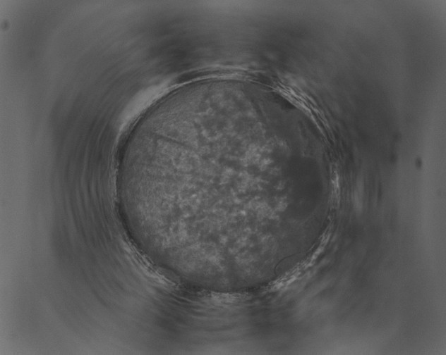 X0000089670149200707121232