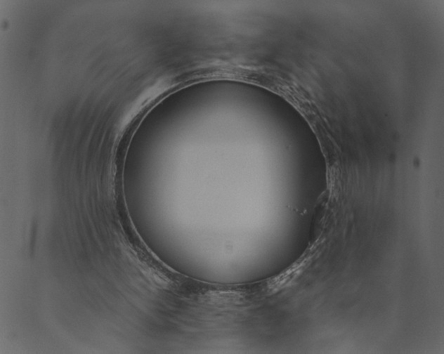 X0000089670150200707121232