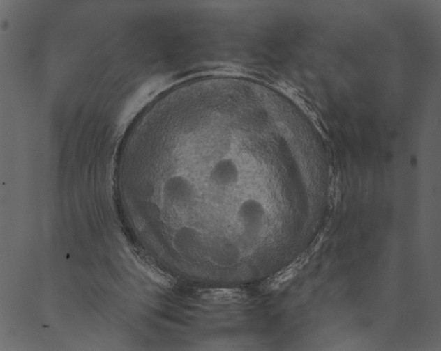 X0000089670151200707121232