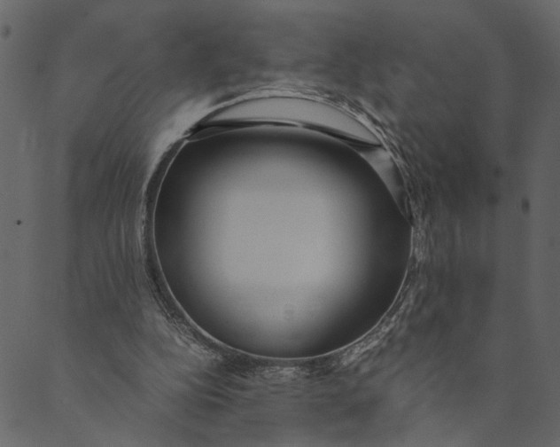 X0000089670152200707121232