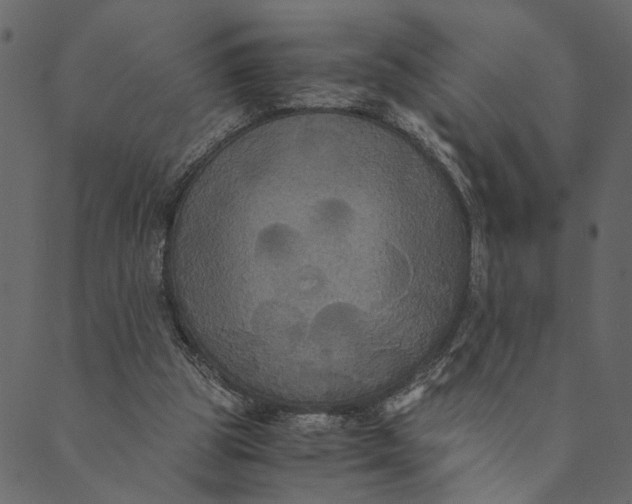 X0000089670153200707121232