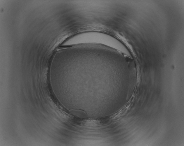 X0000089670154200707121232