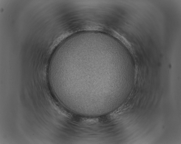 X0000089670155200707121232