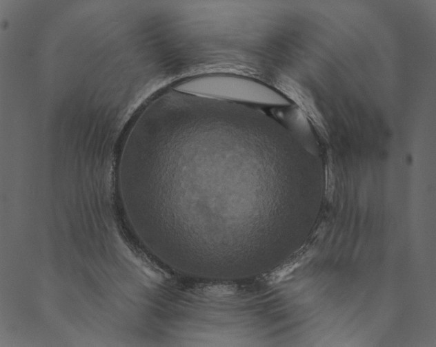 X0000089670156200707121232