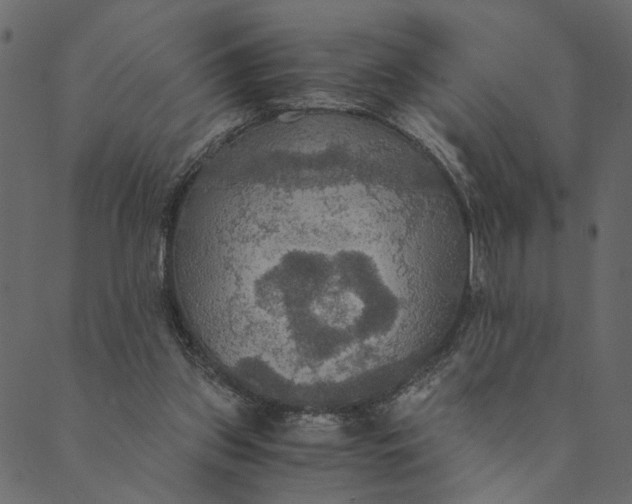 X0000089670157200707121233