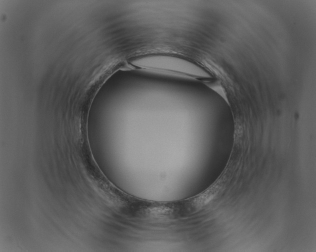 X0000089670158200707121233