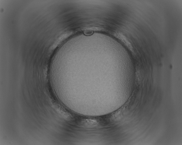 X0000089670159200707121233